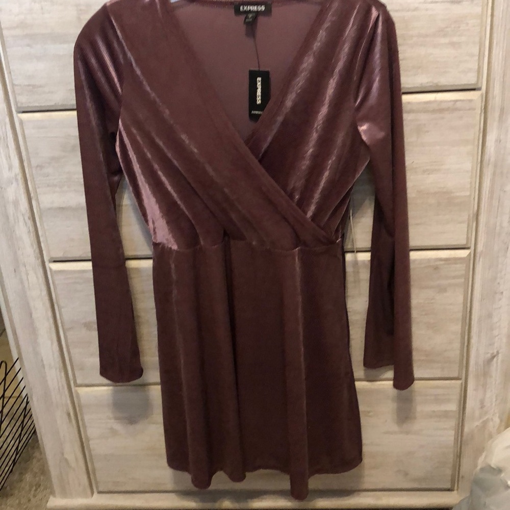 Pink Velvet Dress
